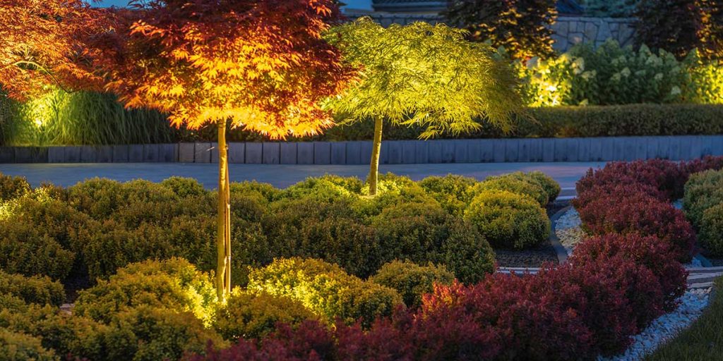 how to illuminate a tree